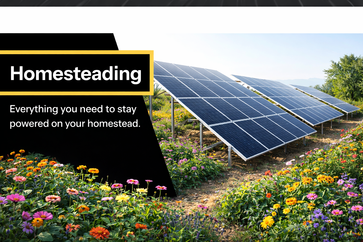 Homesteading
