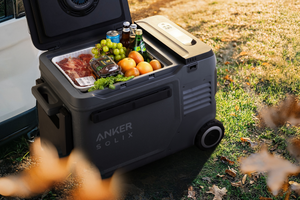 Anker SOLIX EverFrost 2 58L Electric Cooler
