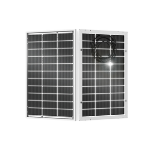 Eco-Worthy 100W Bifacial Solar Panel